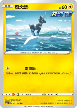 斑斑馬