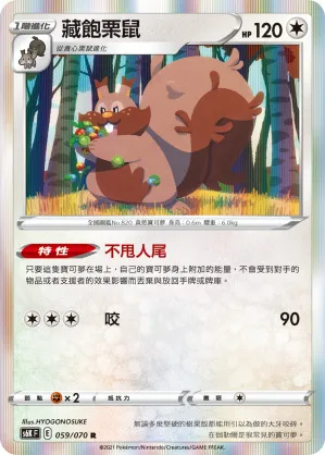 藏飽栗鼠