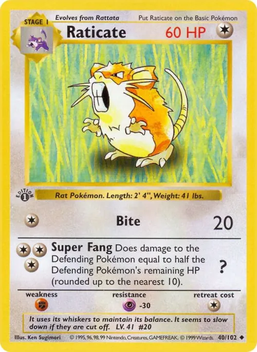Raticate - 1st Edition