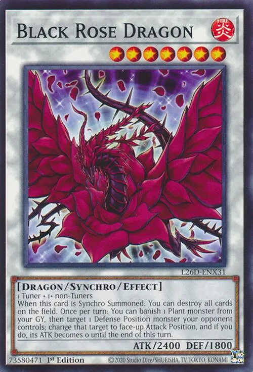 Black Rose Dragon