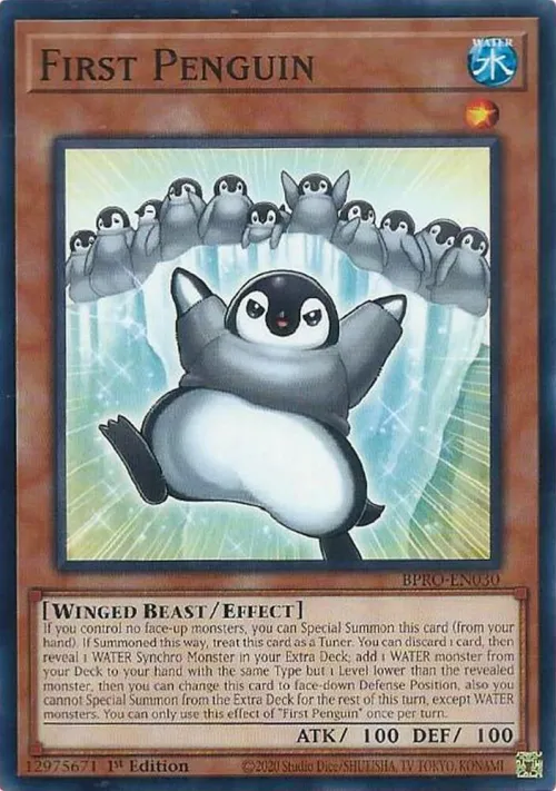 First Penguin