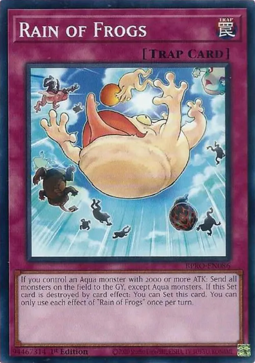 Rain of Frogs