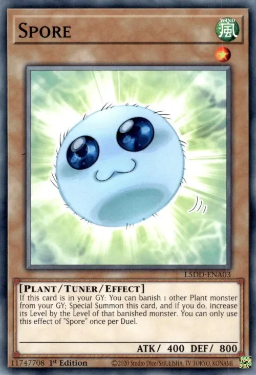 Spore