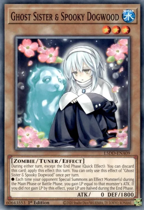 Ghost Sister & Spooky Dogwood