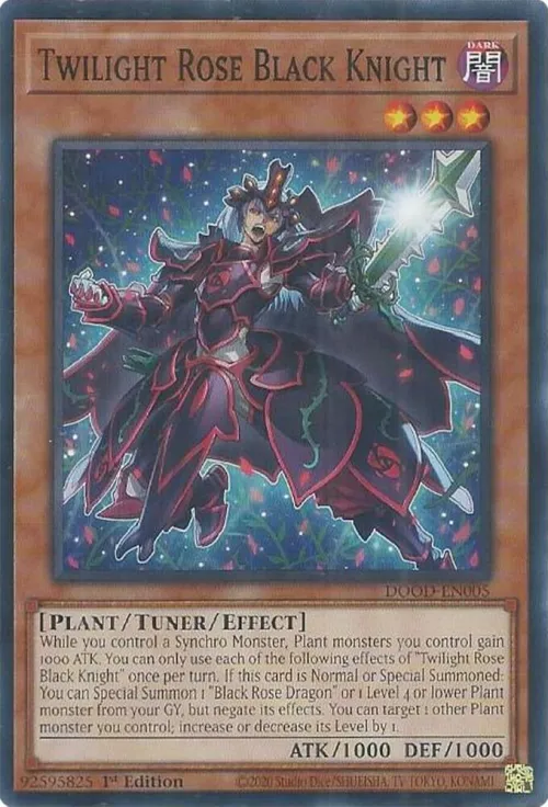 Twilight Rose Black Knight