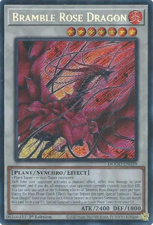 Bramble Rose Dragon - 1st Edition
