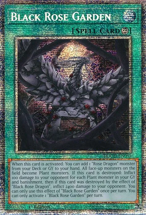 Black Rose Garden - Starlight Rare