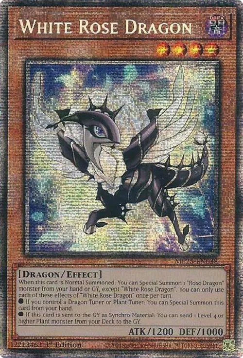 White Rose Dragon