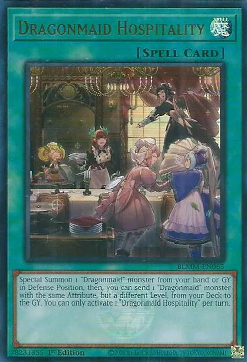Dragonmaid Hospitality
