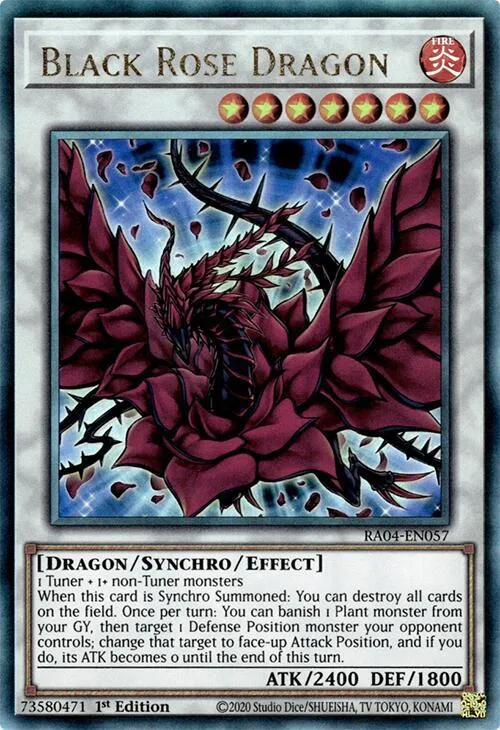 Black Rose Dragon - Pur
