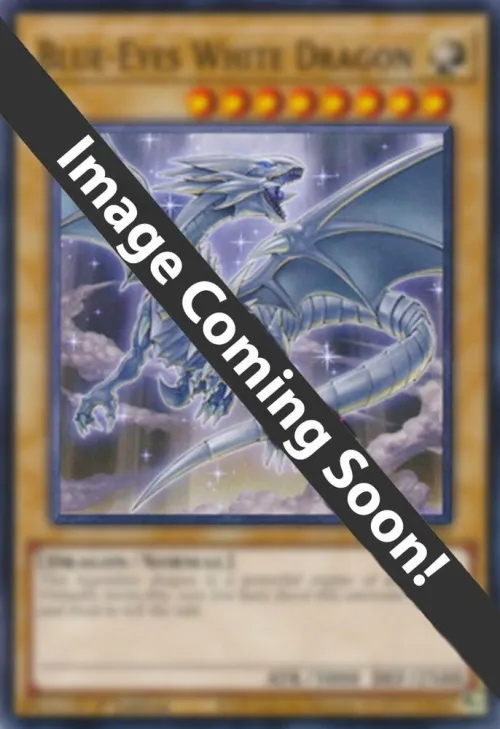 Blue-Eyes White Dragon - 8th Art Platinum Secret Rare