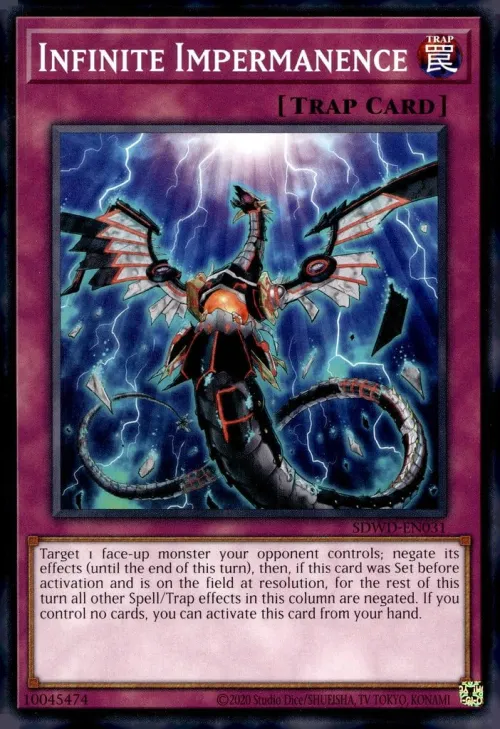 Infinite Impermanence - Unlimited Misprint