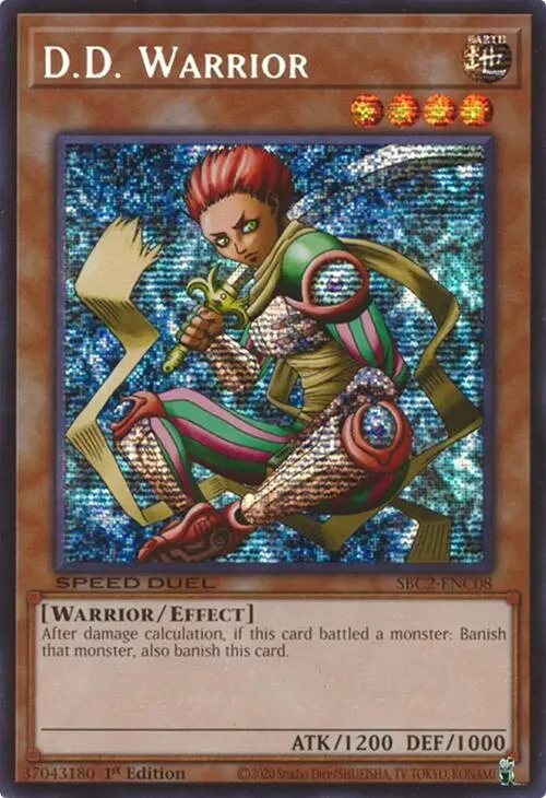 D.D. Warrior - Psr