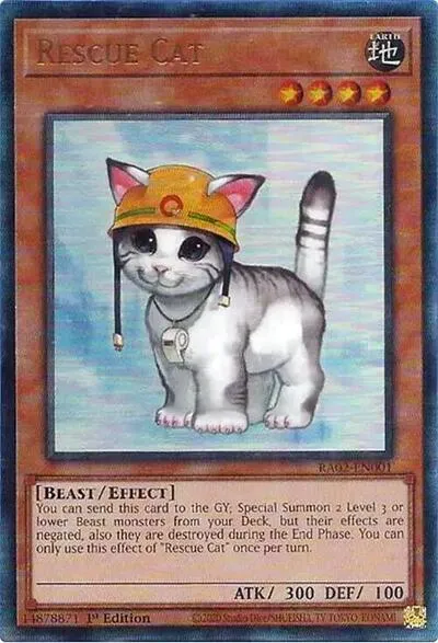 Rescue Cat - Pur