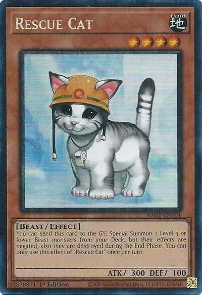 Rescue Cat - Pcr