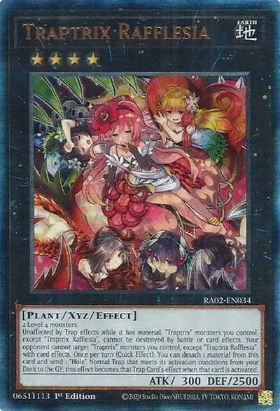 Traptrix Rafflesia - Pur