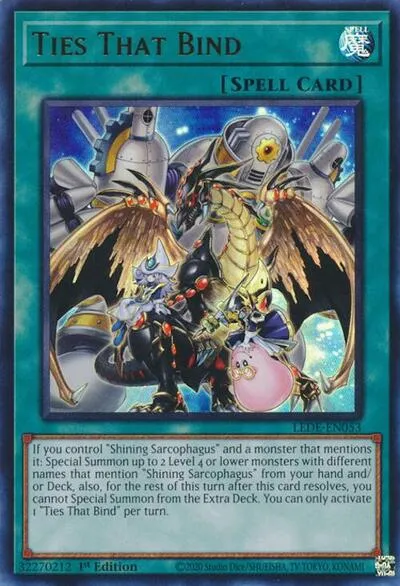 Ties That Bind - 1st Edition
