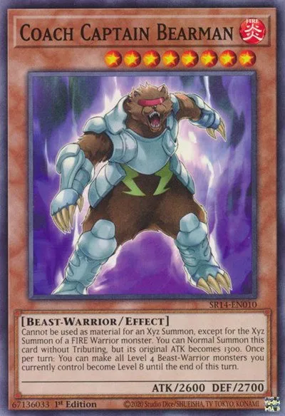 Coach Captain Bearman - Unlimited
