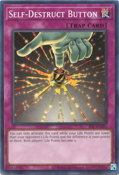 Self-Destruct Button