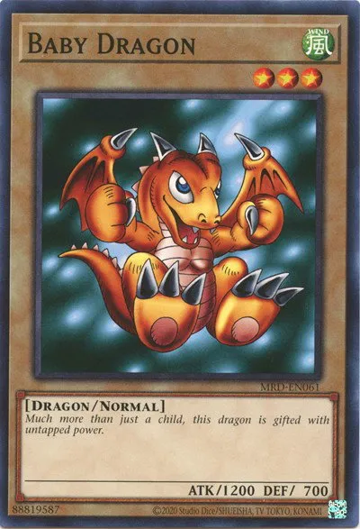 Baby Dragon