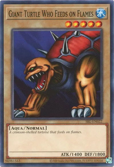 Giant Turtle Who Feeds on Flames