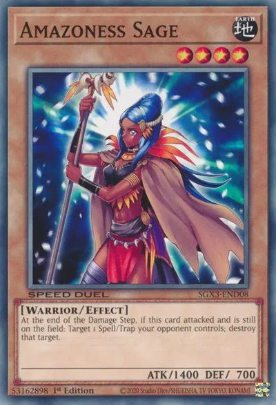 Amazoness Sage
