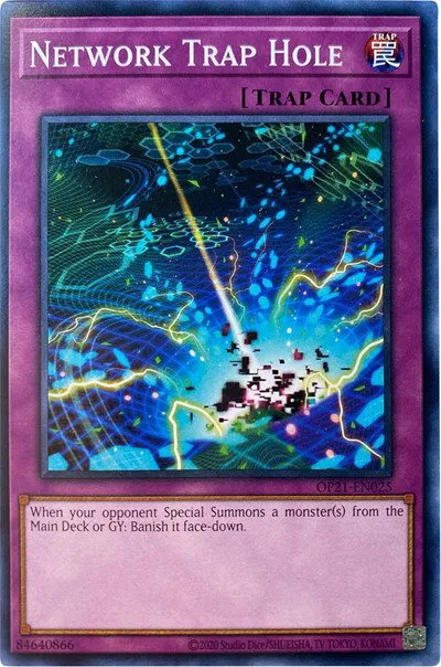 Network Trap Hole
