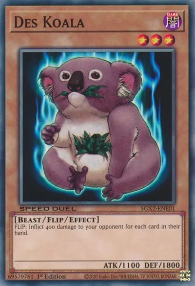 Des Koala