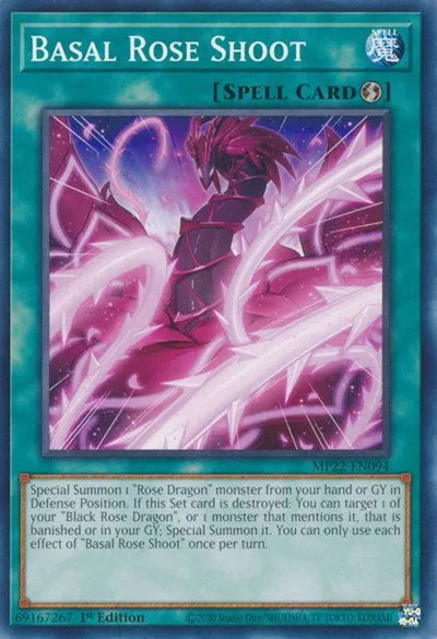 Basal Rose Shoot