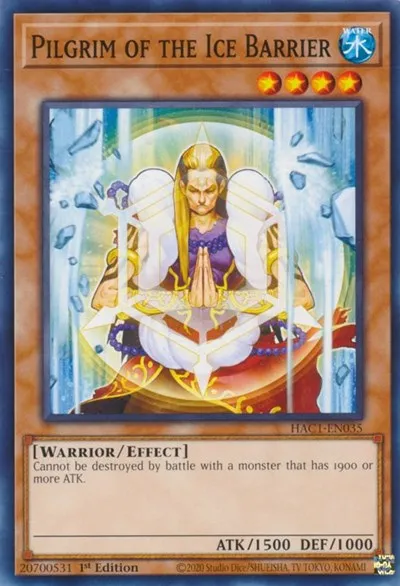 Pilgrim of the Ice Barrier - 1st Edition