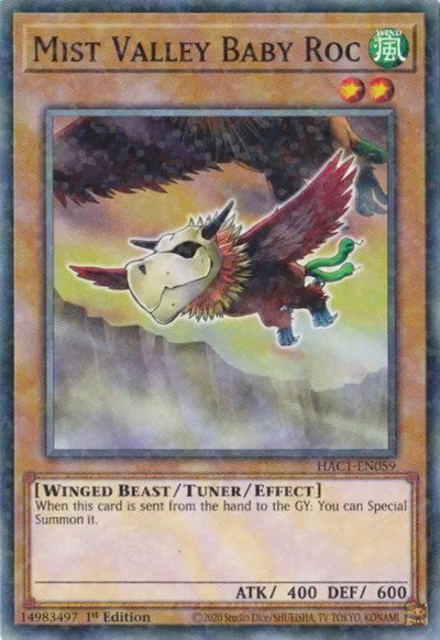 Mist Valley Baby Roc - Duel Terminal