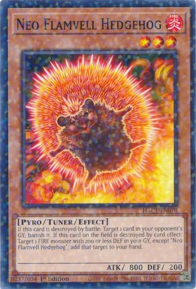 Neo Flamvell Hedgehog - Duel Terminal