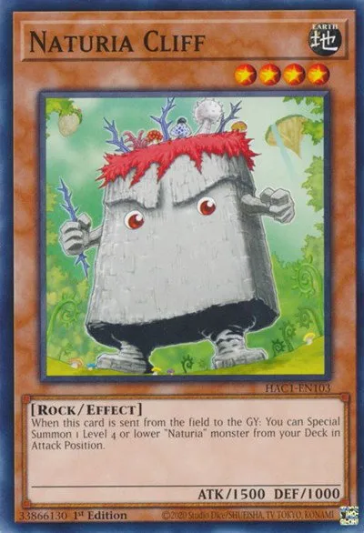 Naturia Cliff - 1st Edition
