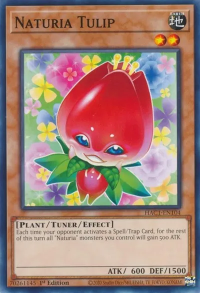 Naturia Tulip - 1st Edition