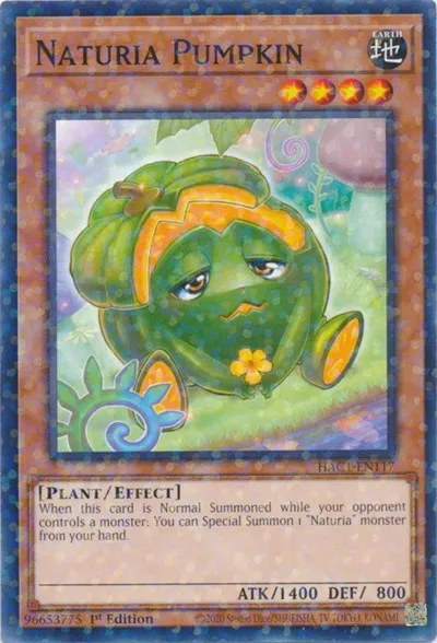 Naturia Pumpkin - Duel Terminal