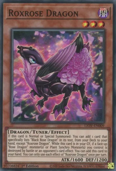 Roxrose Dragon