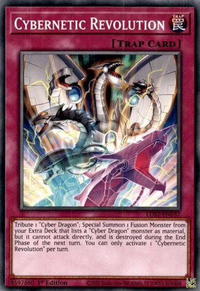 Cybernetic Revolution