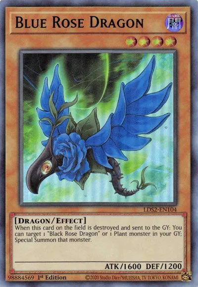 Blue Rose Dragon - Blue