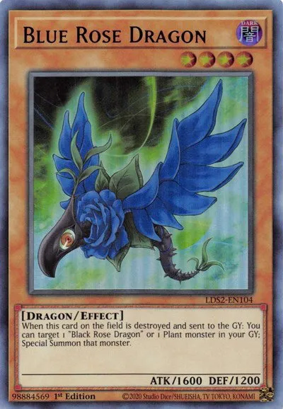 Blue Rose Dragon - Purple