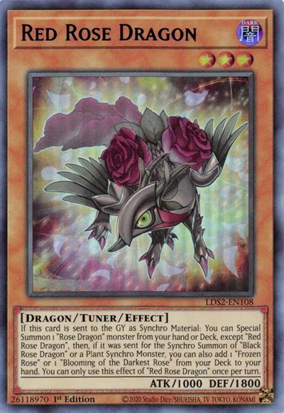 Red Rose Dragon - Blue