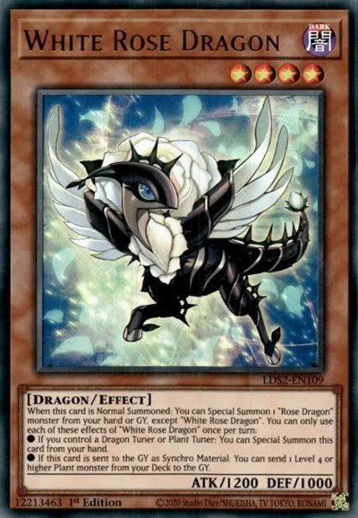 White Rose Dragon - 1st Edition