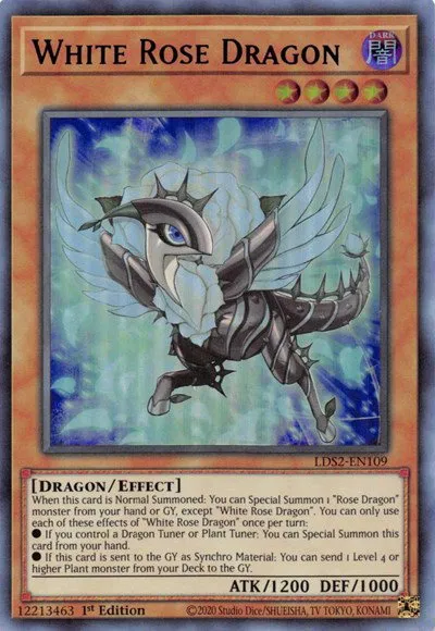 White Rose Dragon - Blue