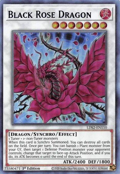 Black Rose Dragon - Blue