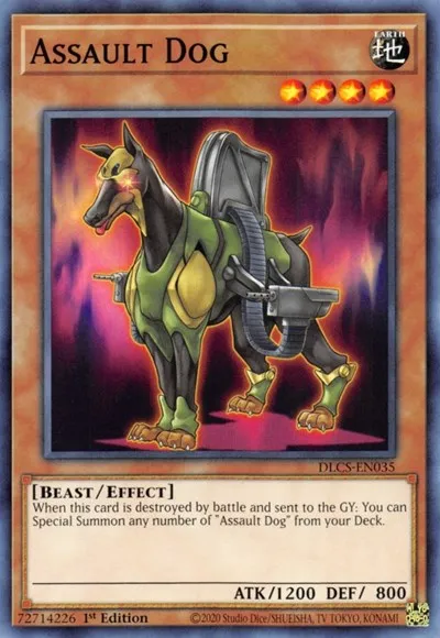 Assault Dog
