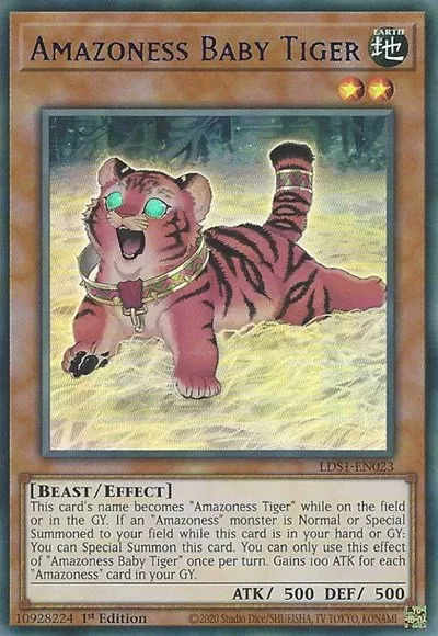 Amazoness Baby Tiger - Blue
