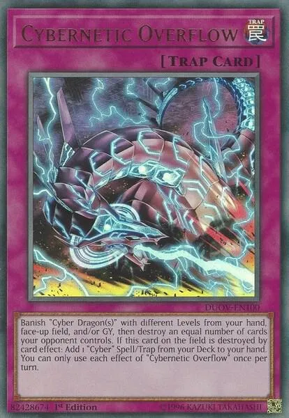 Cybernetic Overflow