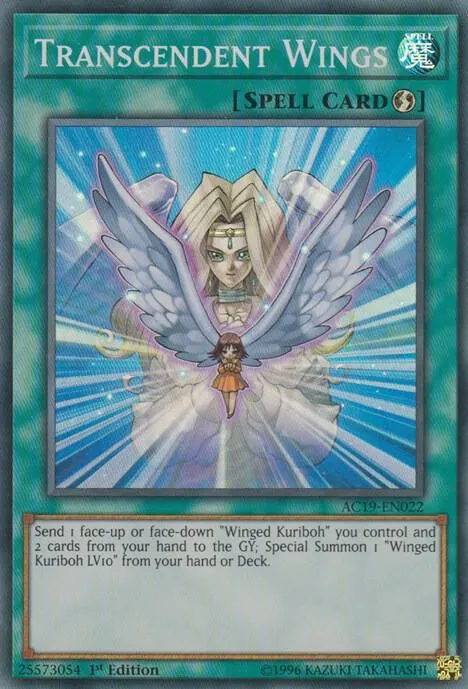 Transcendent Wings