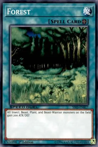 Forest