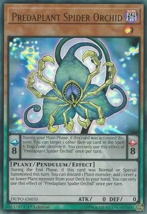 Predaplant Spider Orchid - Unlimited