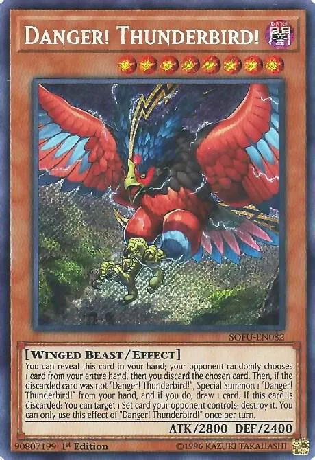 Danger! Thunderbird! - 1st Edition